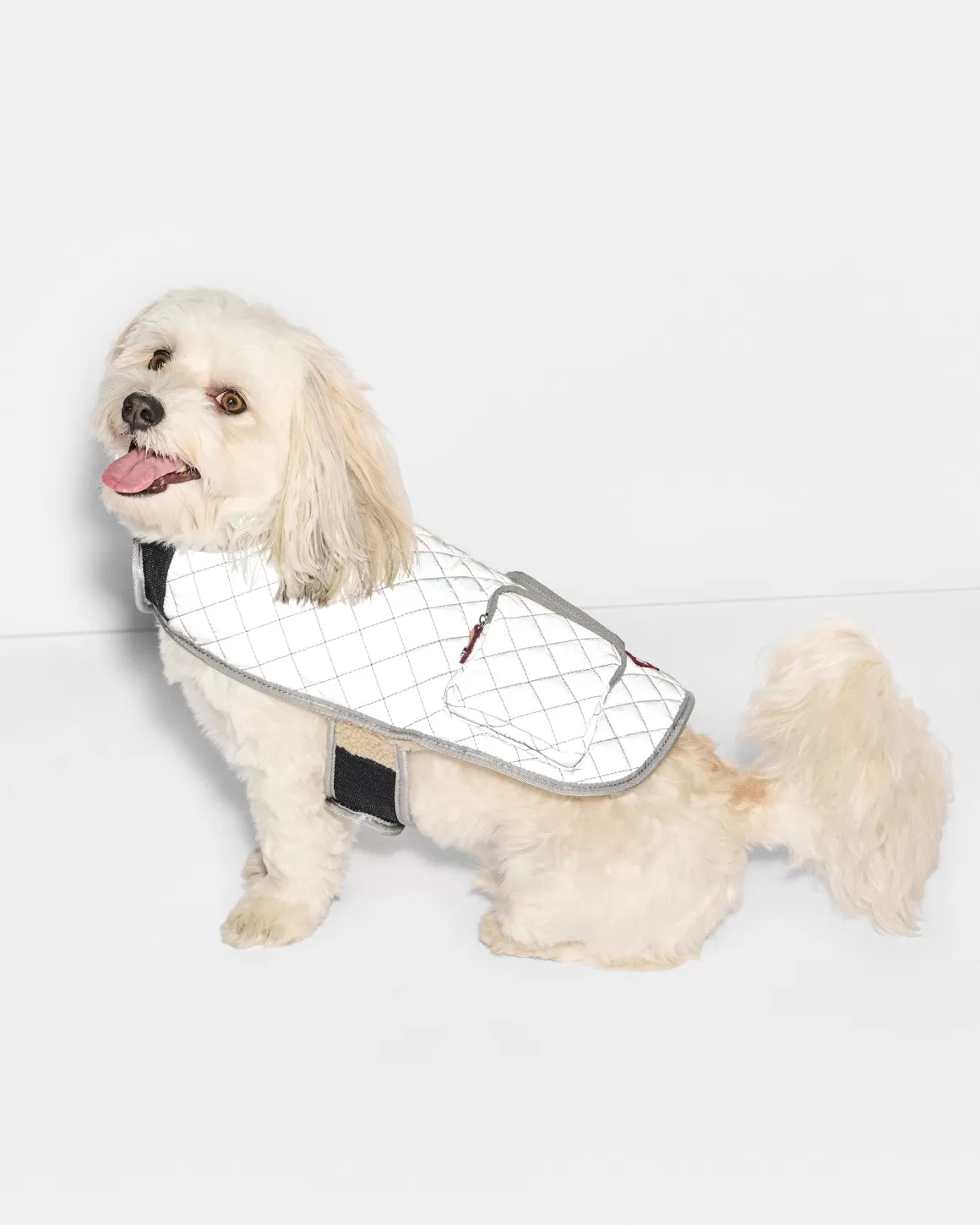 MZ Wallace Accessories>Medium MZW Dog Coat