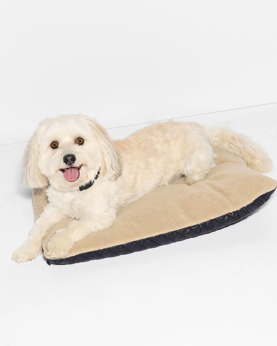 MZ Wallace Accessories>MZW Dog Bed